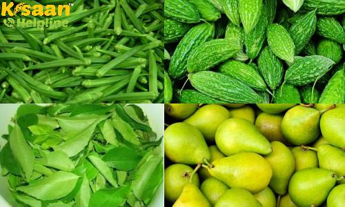 उत्तराखंड से यूएई को निर्यात की गई सब्जियों की पहली खेप, जिससे मिलेगा कृषि व्यवसाय को बढ़ावा, किसानों के लिए होगा फायदेमंद